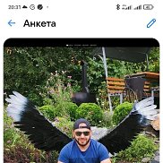 ����, 41 ���, ����