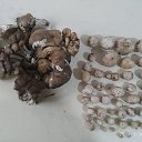 ���� ����� �������������, ������, 41 ��� - ��������� 30 ����� 2024