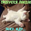 ���� ����, �������, 52 ���� - ��������� 15 ������ 2026