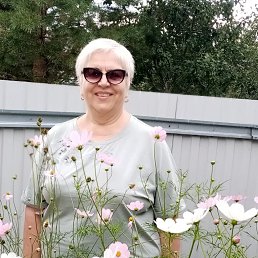 , 65, 