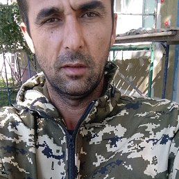 , 40, 