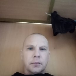 , 41, 