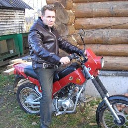 , 55, 