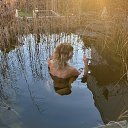 ���� ������, ������, 46 ��� - ��������� 14 ����� 2025 � ������ ���� ����������