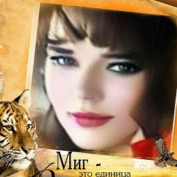 ������, �����������, 49 ���