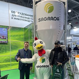 Azizbek, �����, 31 ���