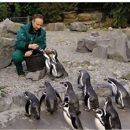 ������� �������, �����, 26 ���