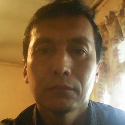 �������, �����, 49 ���