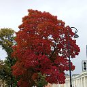 ���� �����, �����-��������� - ��������� 11 ������� 2025 � ������ ���� ����������