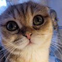 ���� ������, ������, 47 ��� - ��������� 30 ���� 2024