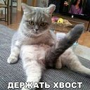 ���� ���������, ���������, 46 ��� - ��������� 28 ������ 2024 � ������ ������ ��������