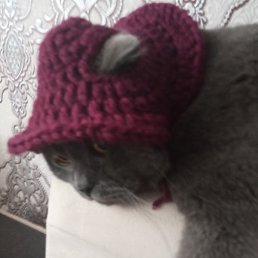 �����, �����, 46 ���