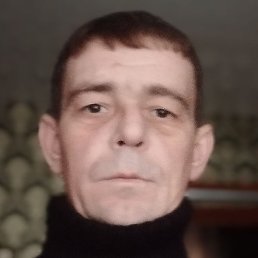 �������, ���������, 40 ���