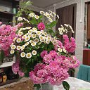 ���� �����, �������, 64 ���� - ��������� 14 ���� 2025