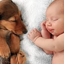 ���� Zolotarev, ������� - ��������� 18 ������� 2023 � ������ ������ ��������