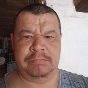 ������, 40 ���, ������