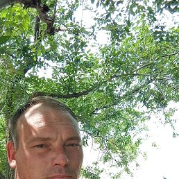 , 36, 