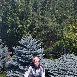 ����, �����������, 36 ���