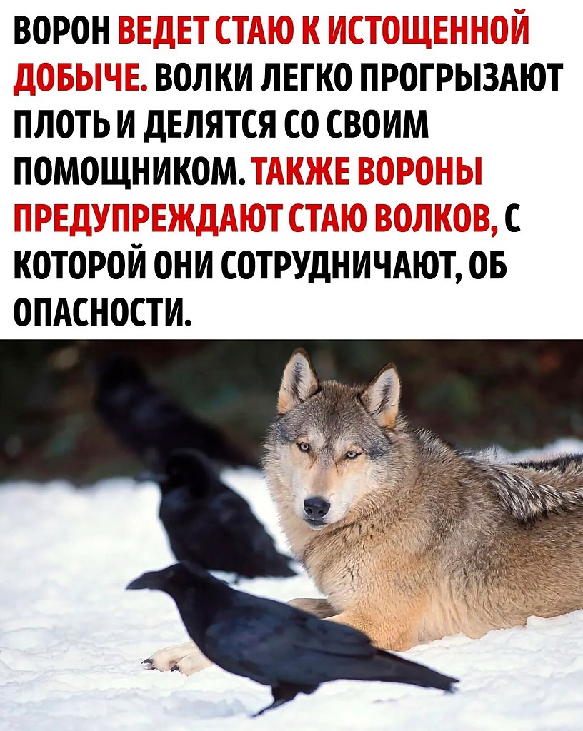        - 3