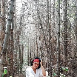 ���������, ���������