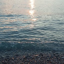 �����, ����, 53 ����