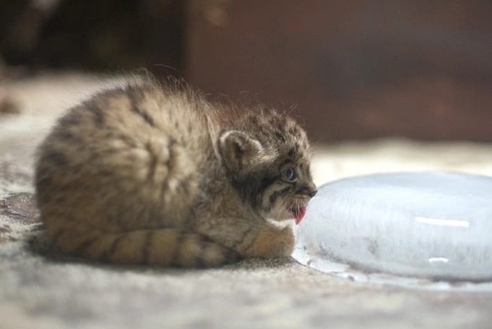 �������� ����� ��������� � ����� ��������! - 4