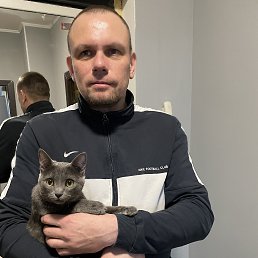 ���������, 40 ���, ����������