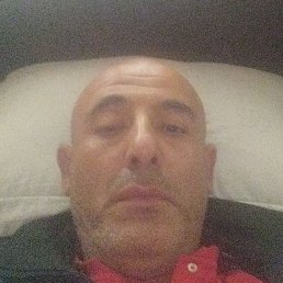 �����, �������, 51 ���