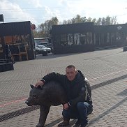 ������, 41 ���, ������