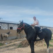 , 34 , 