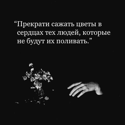   - 18  2024  11:31