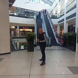 .A., ����, 42 ����