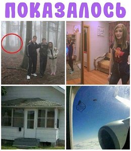 �����������