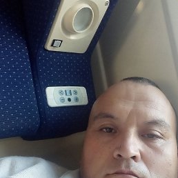 , 37, 