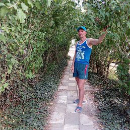 Alex, , 66 