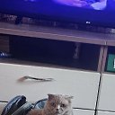 ���� �����, ������, 50 ��� - ��������� 12 ������ 2025 � ������ ������ ��������