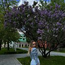 ���� �����, �����������, 28 ��� - ��������� 2 ��� 2025 � ������ ������ ��������
