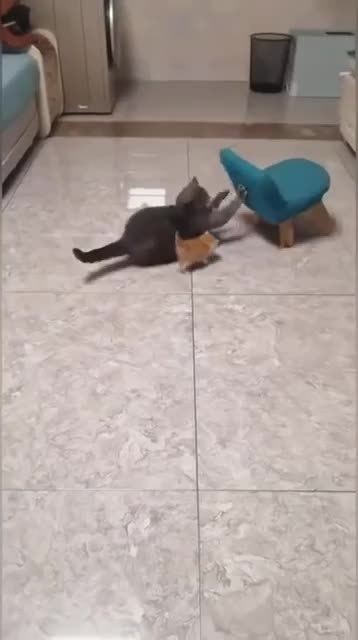       !!