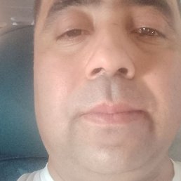 ���� �, ������, 41 ���