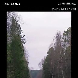 ������, ������, 54 ����