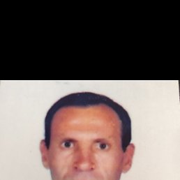 , 51 , 