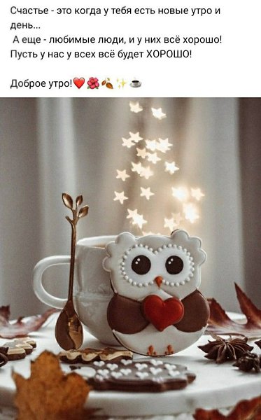   - 8  2023  08:19