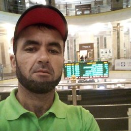  , 41, 