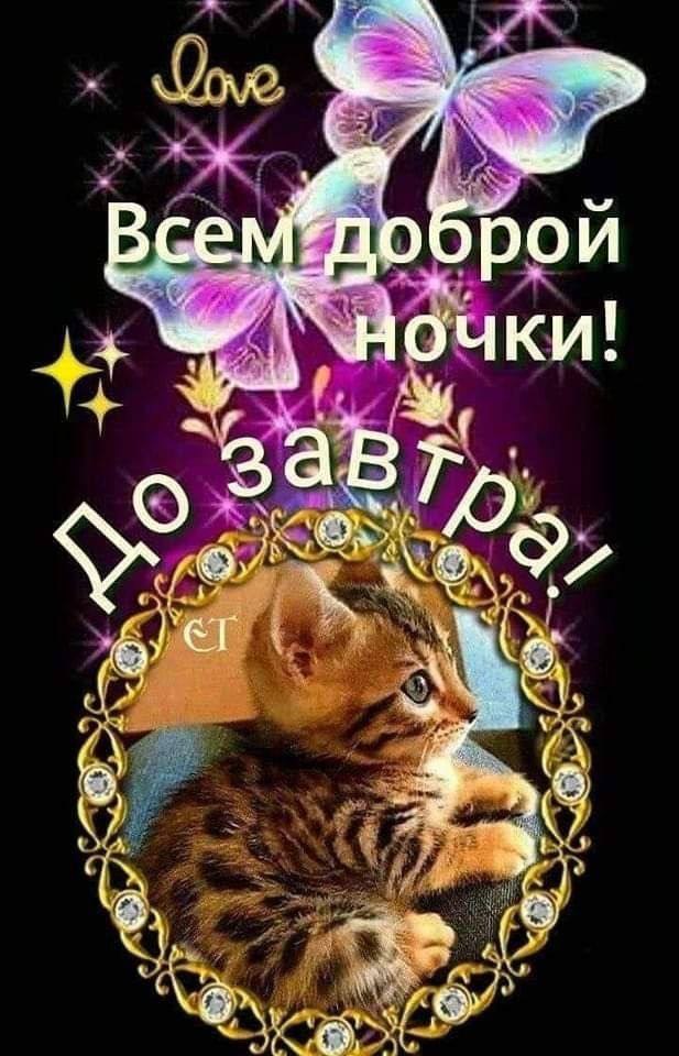  - 20  2025  19:02