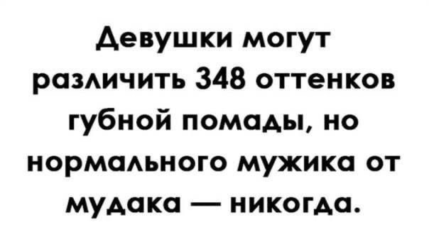   . - 15  2025  09:40