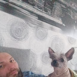 ���������, ������, 41 ���