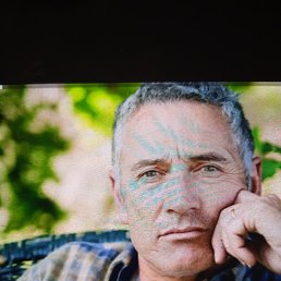 , 59, 