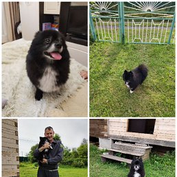 ���� ��������, ������, 61 ��� - ��������� 29 ����� 2024