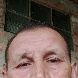 , 46, 