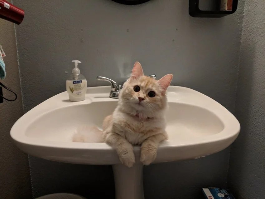 ? !